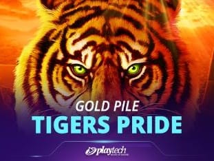Gold Pile Tigers Pride